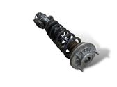 Rear shock absorber with coil spring