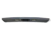 Trunk door license plate light bar