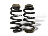 Rear coil spring