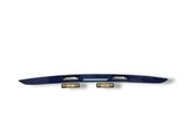 Trunk door license plate light bar