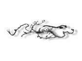 Engine installation wiring loom