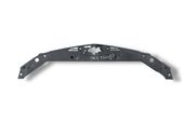 Engine bonnet/hood lock trim molding
