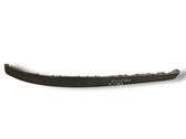 Front bumper lip