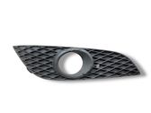 Front fog light trim/grill
