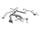 Engine installation wiring loom