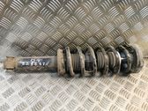 Rear shock absorber/damper