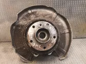 Rear wheel hub