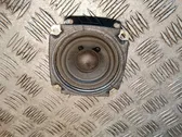 Rear door speaker