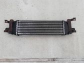 Intercooler radiator