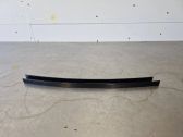 Rear door glass trim molding