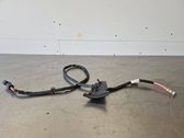 Positive wiring loom