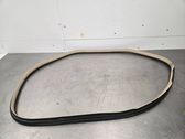 Rear door rubber seal (on body)