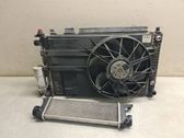 Radiator set