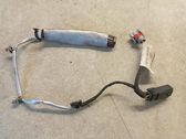 Faisceau de câblage pour moteur
