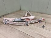 Roof airbag