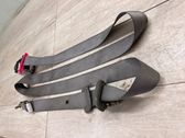 Rear seatbelt