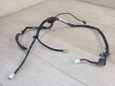 Rear door wiring loom
