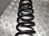 Front coil spring