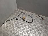 Rear door wiring loom