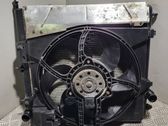 Electric radiator cooling fan