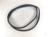 Front door rubber seal