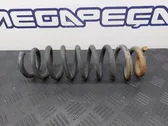 Front coil spring