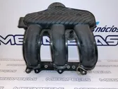 Intake manifold