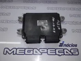 Calculateur moteur ECU