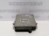 Calculateur moteur ECU