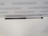 Tailgate/trunk strut/damper