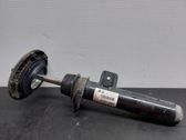 Front shock absorber/damper