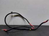 Positive wiring loom