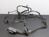 Other wiring loom