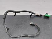 Other wiring loom
