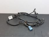 Other wiring loom