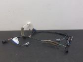 Other wiring loom