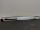 Dashboard trim