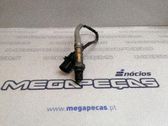 Sonde lambda