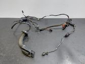 Other wiring loom