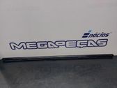 Rear door trim (molding)