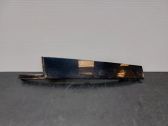 Rear door trim (molding)