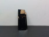 Listón embellecedor de la puerta delantera (moldura)