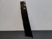 Moulure de porte avant