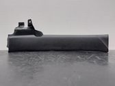 Rear door trim (molding)