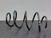 Front coil spring