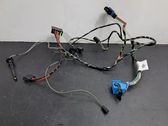 Other wiring loom