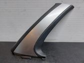 Front door trim (molding)