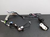 Other wiring loom