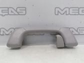 Front interior roof grab handle