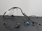 Other wiring loom